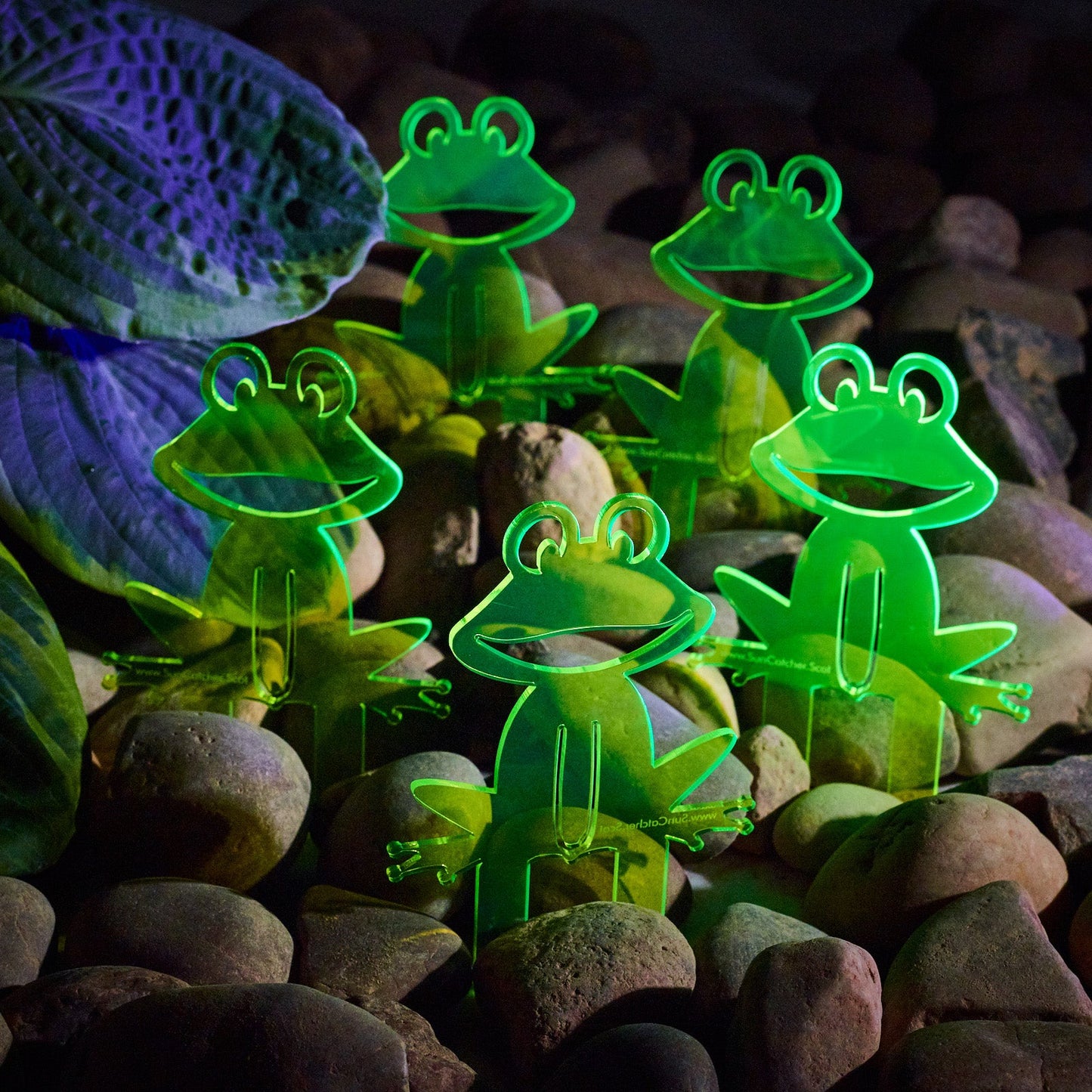 Garden Décor Ornament Stakes Set of 5 'Happy Frogs'