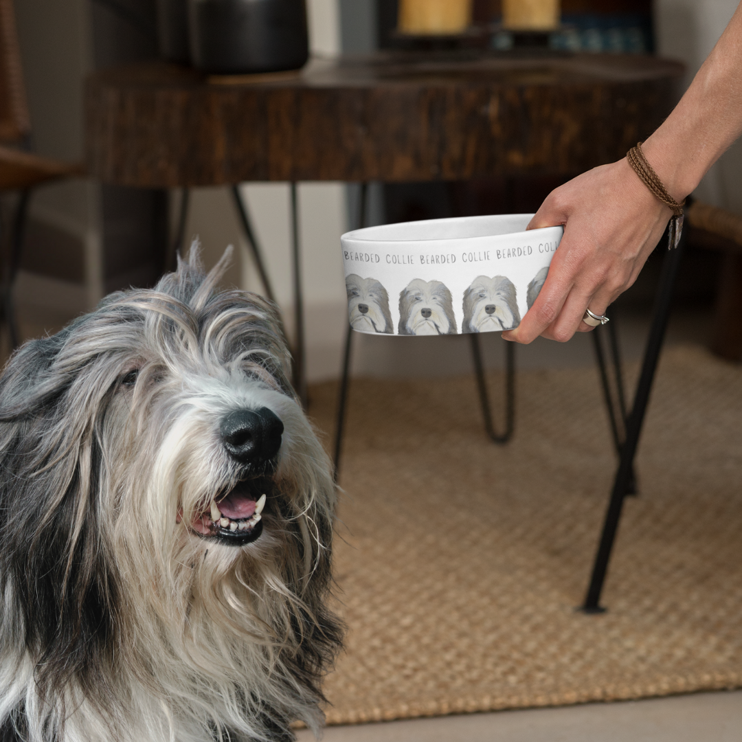 Bearded Collie Bowl – For the Hairicane Who Dines Like Royalty