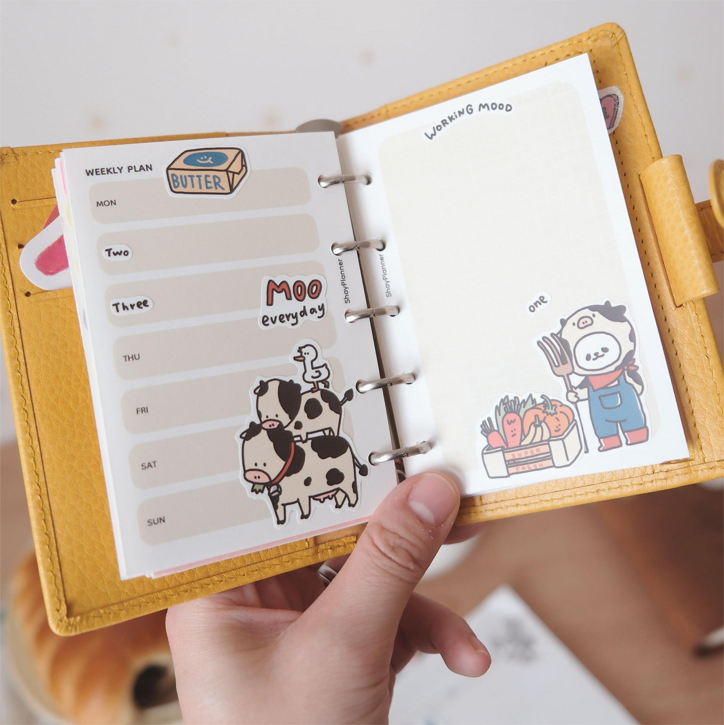 A Gator Life | Animal Sticker