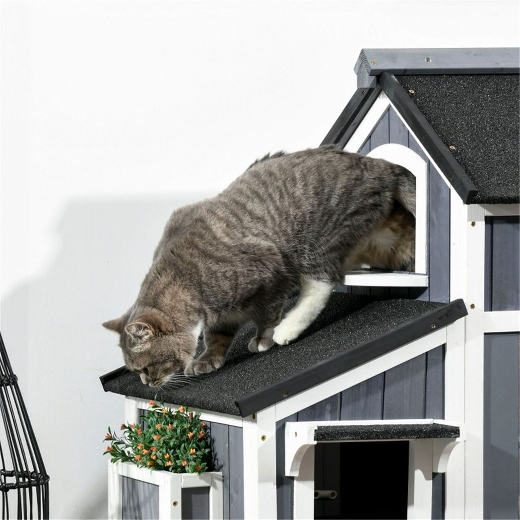 Cat House