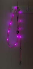 Nite Beams L.e.d Lead Pink Medium/Large 2.5 X 180cm