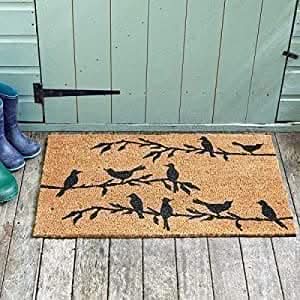 Novelty Anti-slip Bird Song Welcome Doormat