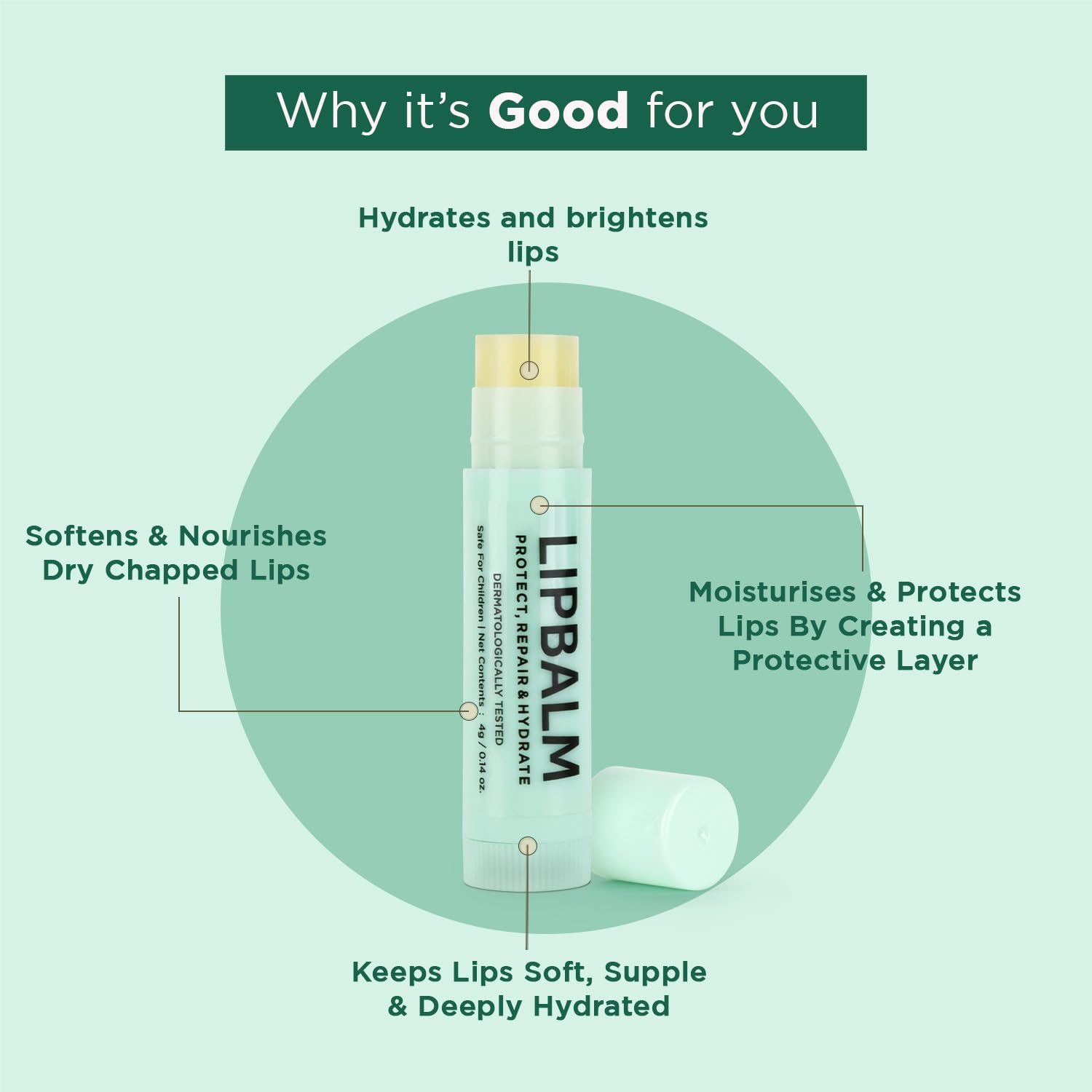 Bella Vita Organic Lip Balm with Shea Butter & Avocado for Dry Lips 4g