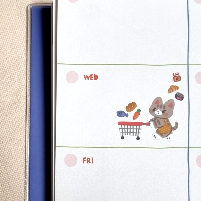 Bonito | Cat's Today