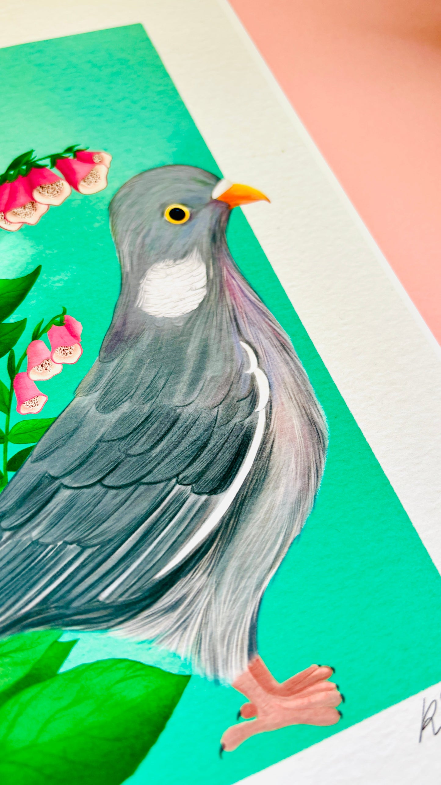 Wood Pigeon Art Print- British Wildlife Illustration