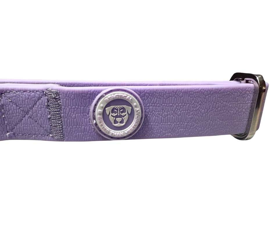 2.5cm PVC BTactical™ Collar | Pastel Purple
