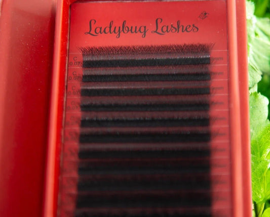 6D Clover Mixed Tray