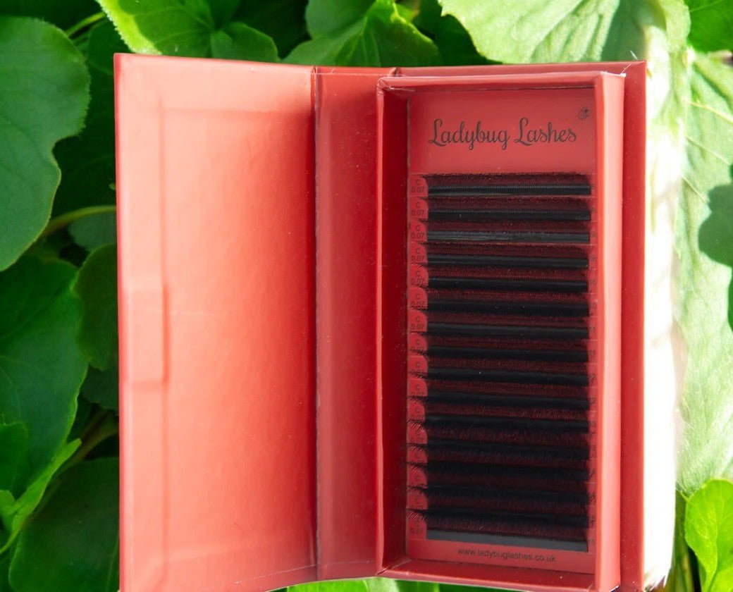 6D Clover Lash Single Length