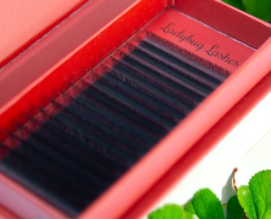 6D Clover Lash Single Length