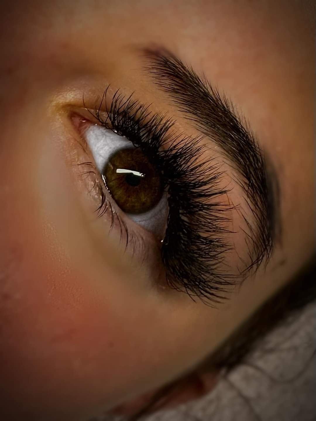 6D Clover Lash Single Length