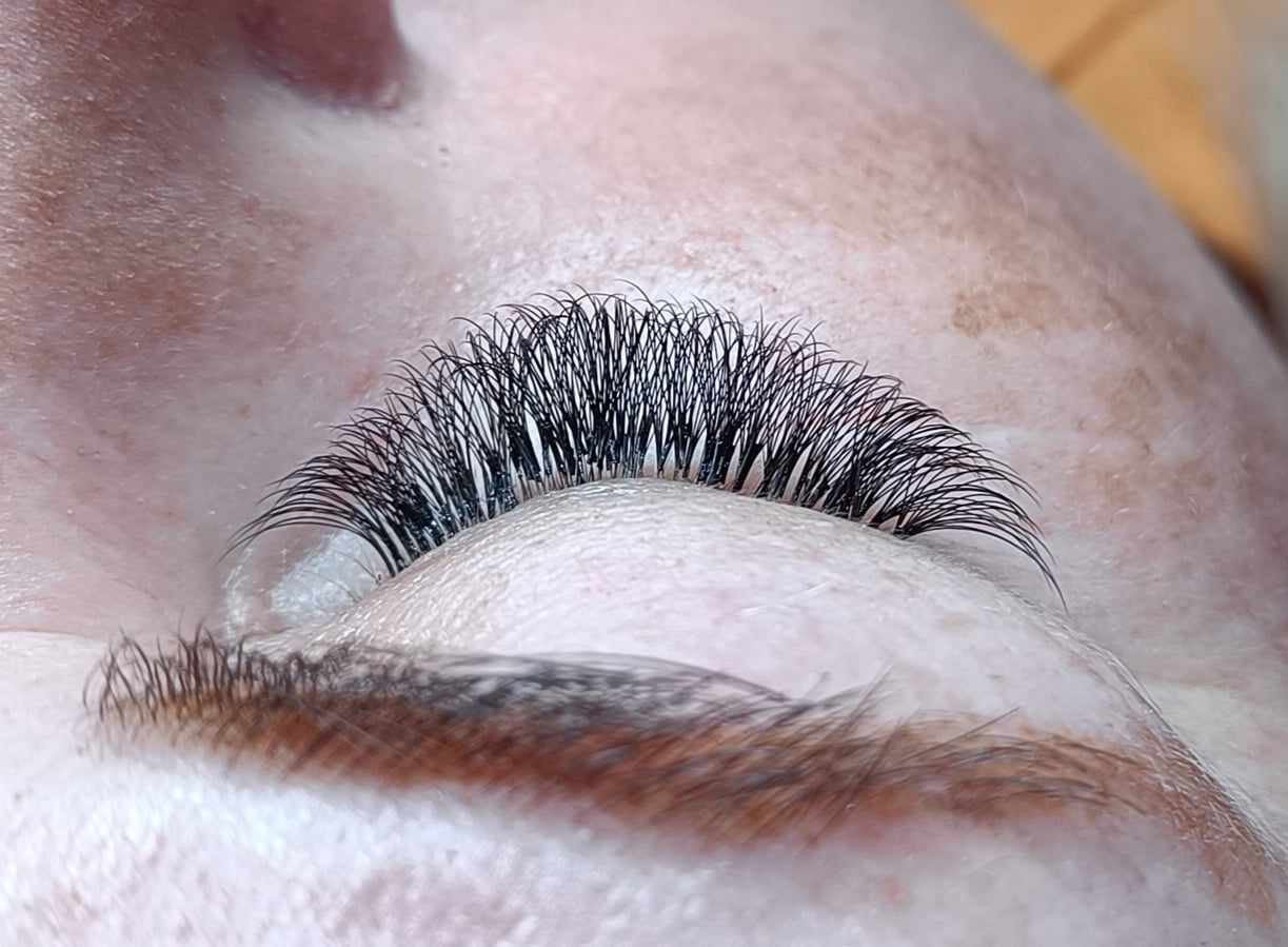 6D Clover Mixed Tray