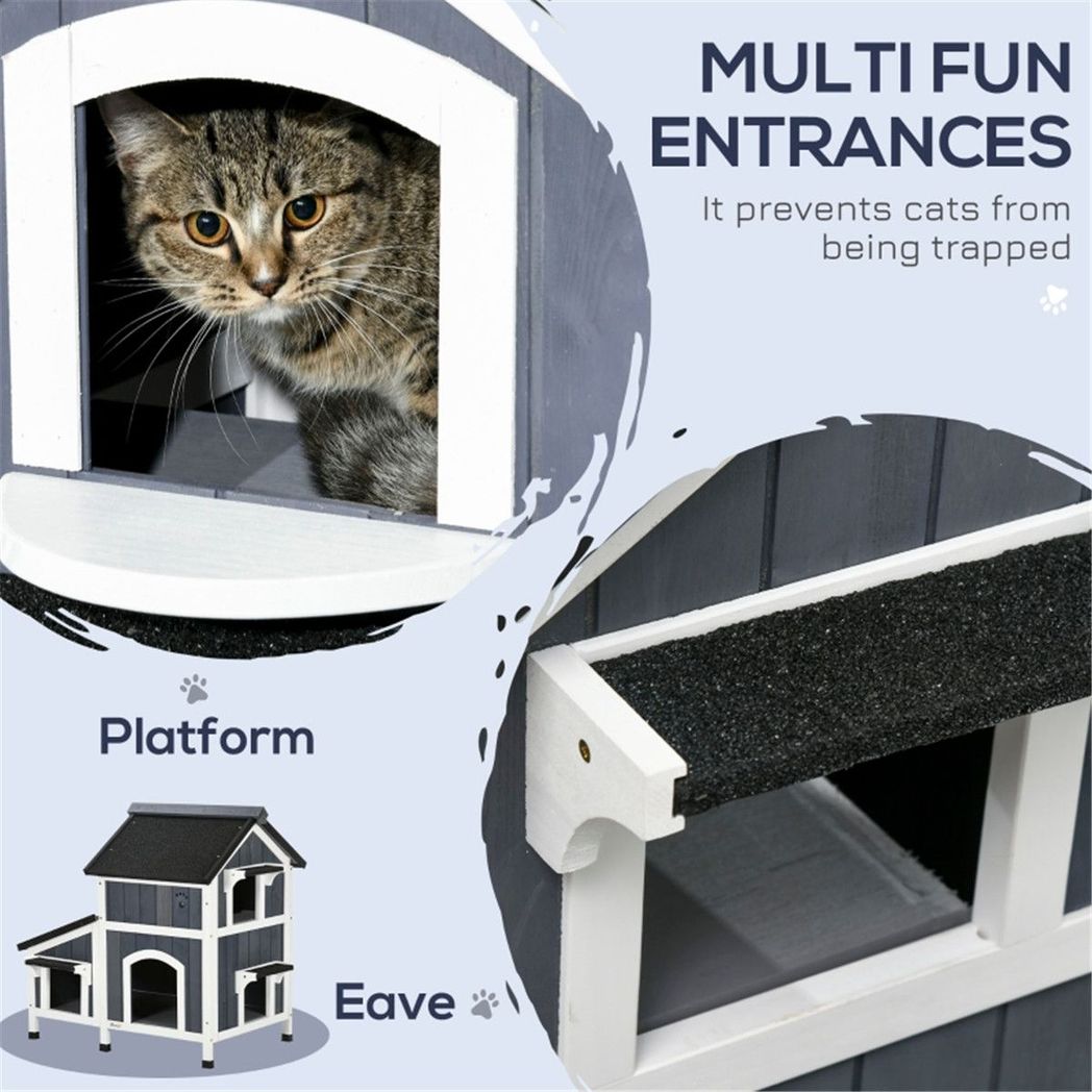 Cat House
