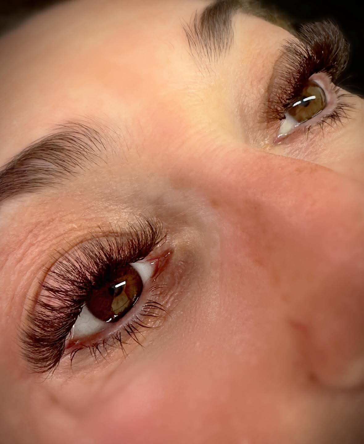 Brown 6D Clover Single Length