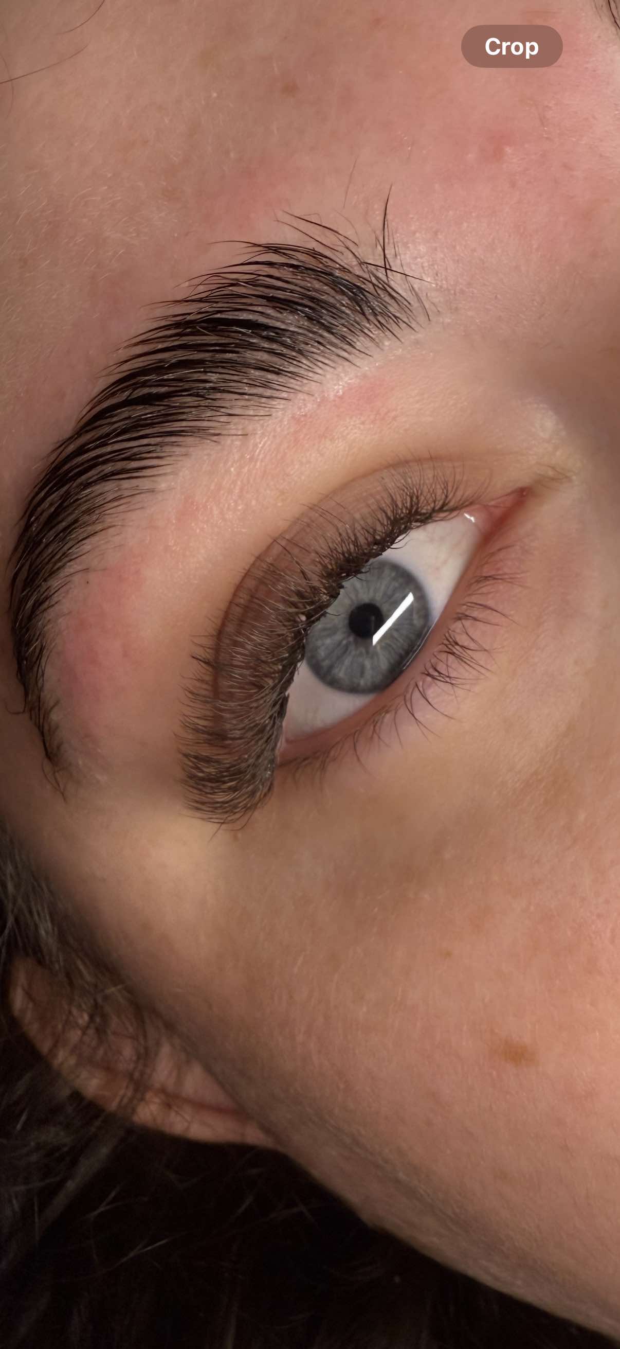 Brown 6D Clover Single Length