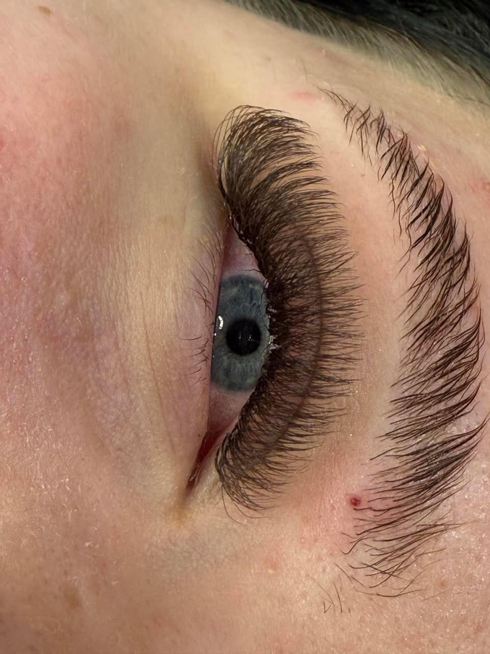 Brown 6D Clover Single Length