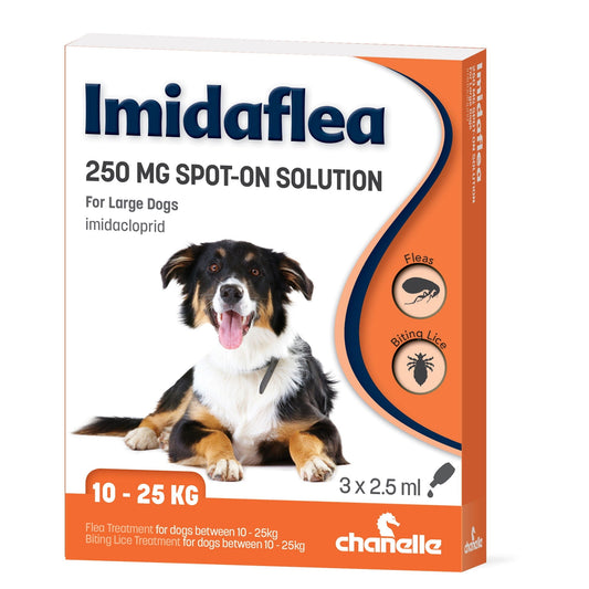 Imidaflea Large Dog 250mg 2.5ml