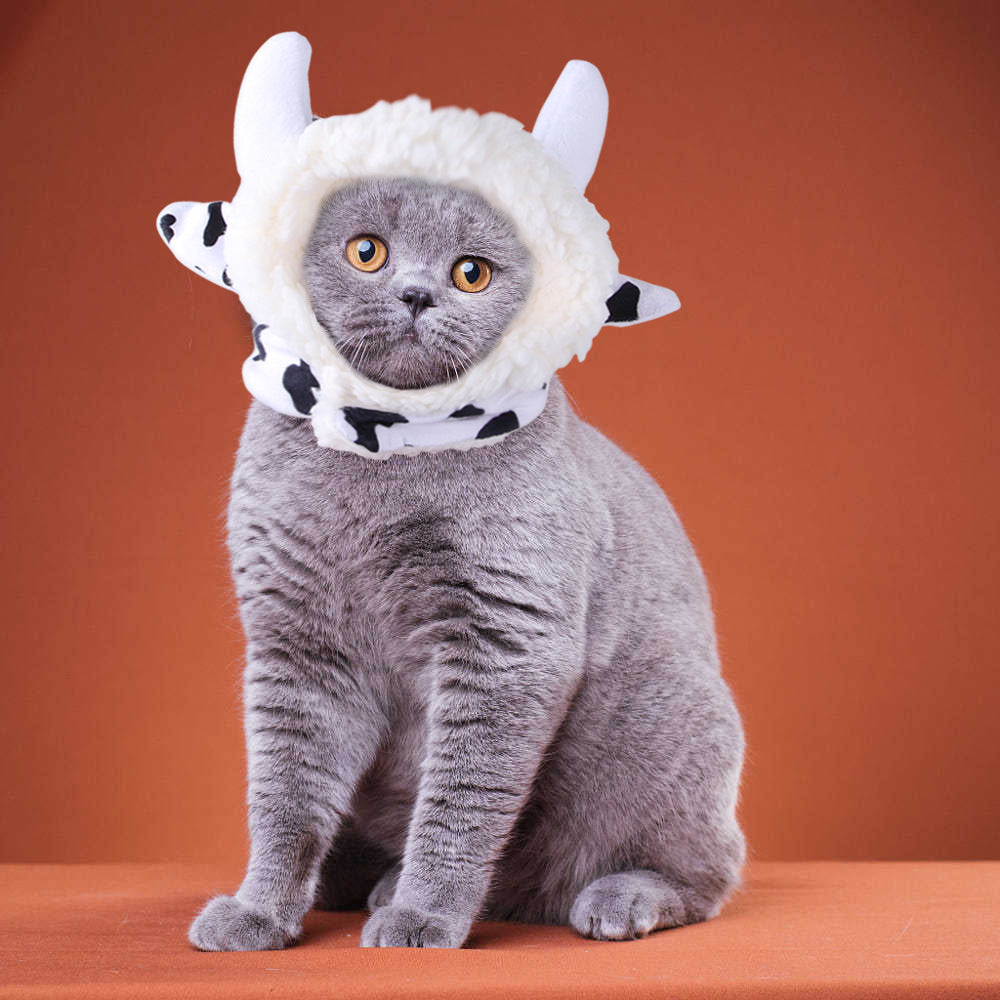 Pet Headgear Cute Dog Teddy Dress Up SUNFLOWER Cat Headdress Wig Cat Headgear Hat