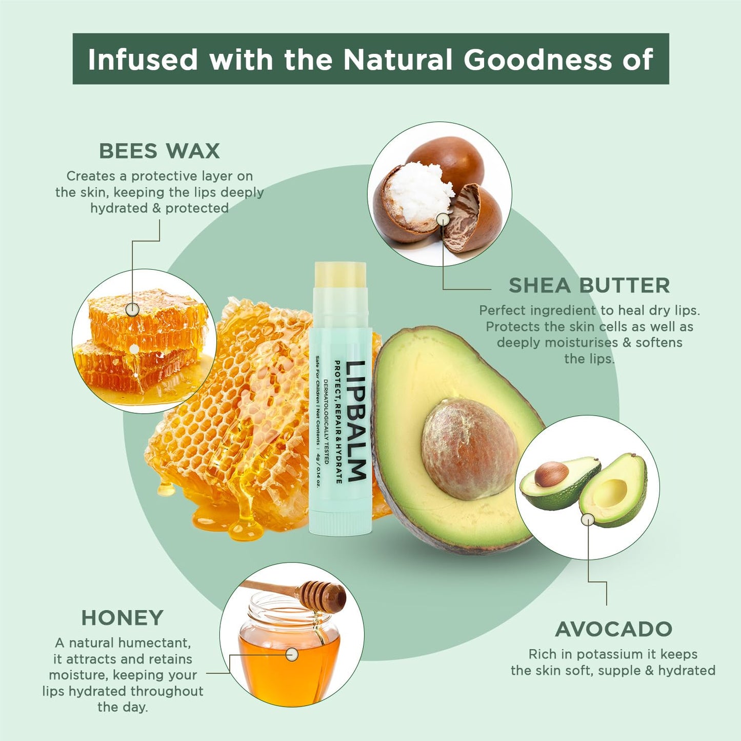 Bella Vita Organic Lip Balm with Shea Butter & Avocado for Dry Lips 4g