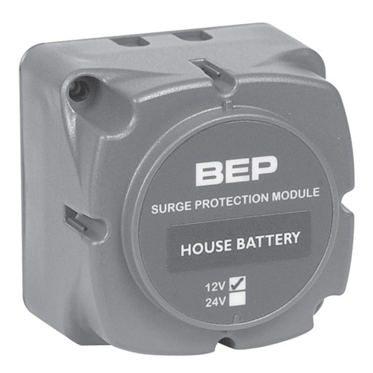 BEP Surge Protection Module 12V DC