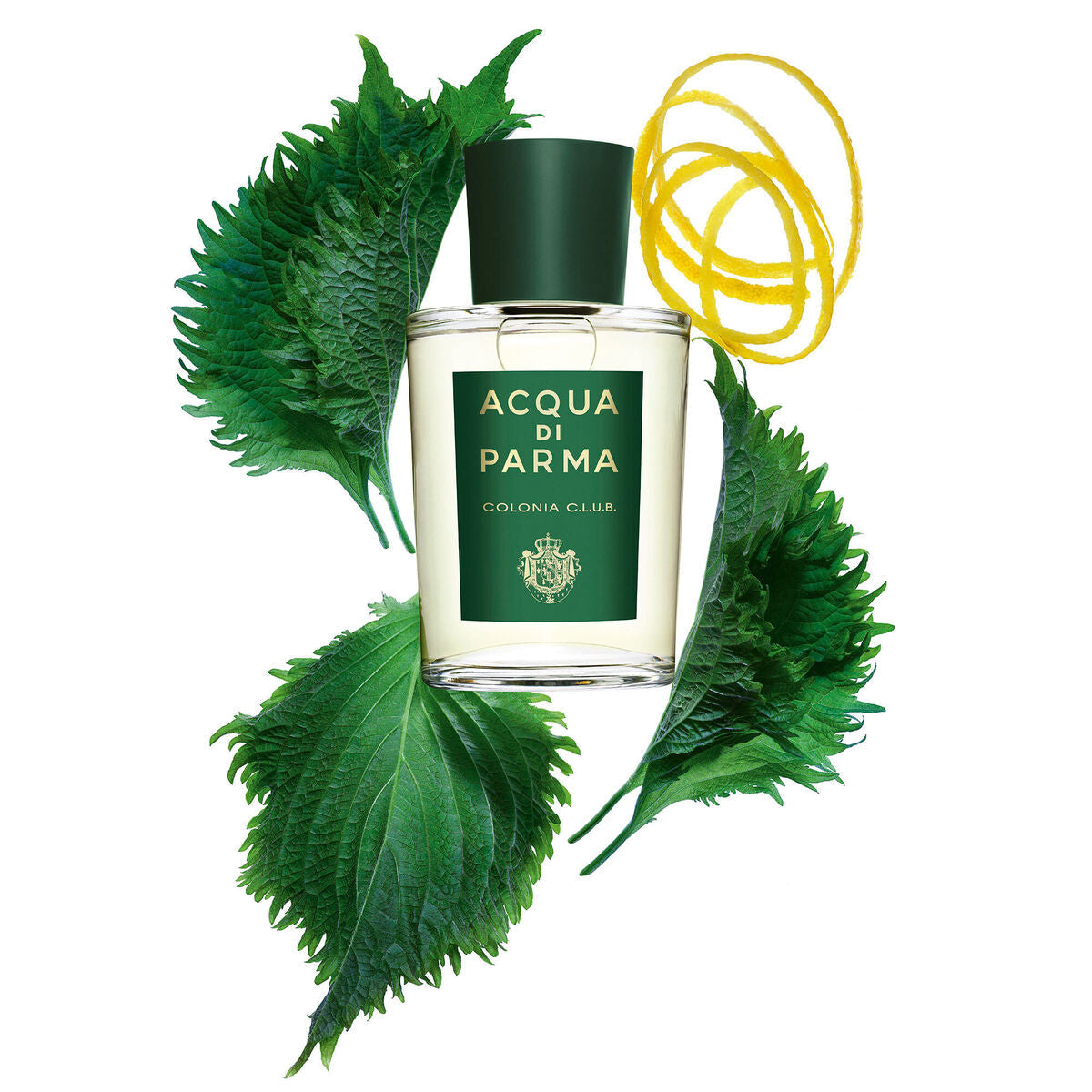 Unisex Perfume Acqua Di Parma Colonia Club EDC 100 ml 96 g