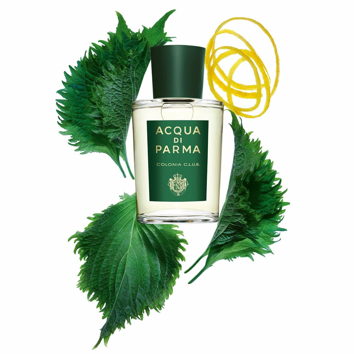 Unisex Perfume Acqua Di Parma Colonia Club EDC 100 ml 96 g