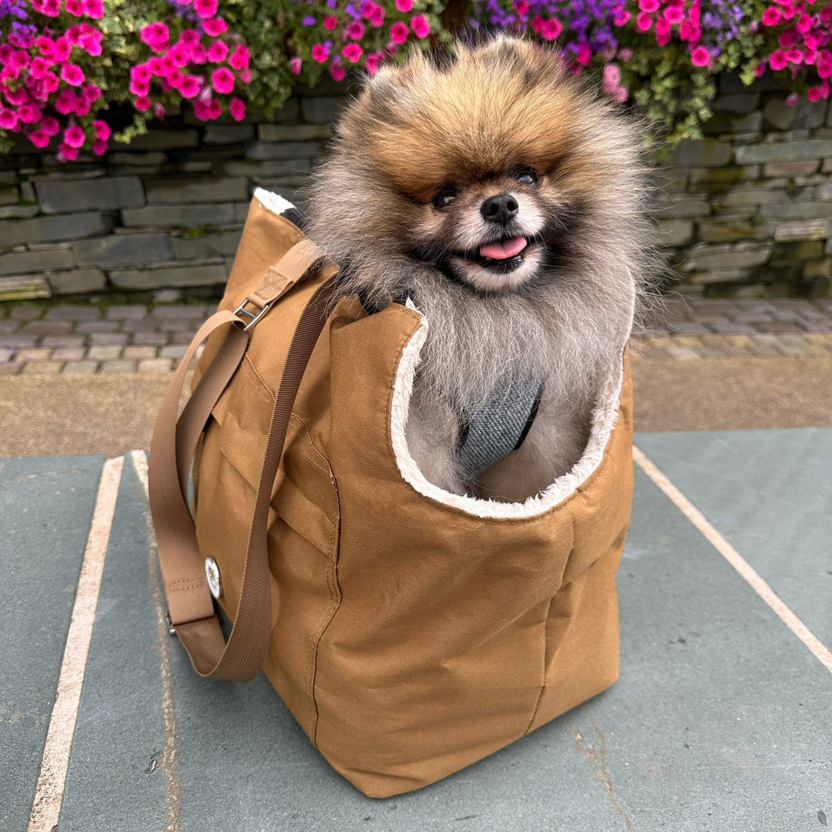 Brown & Cream | Compton Dog Carrier