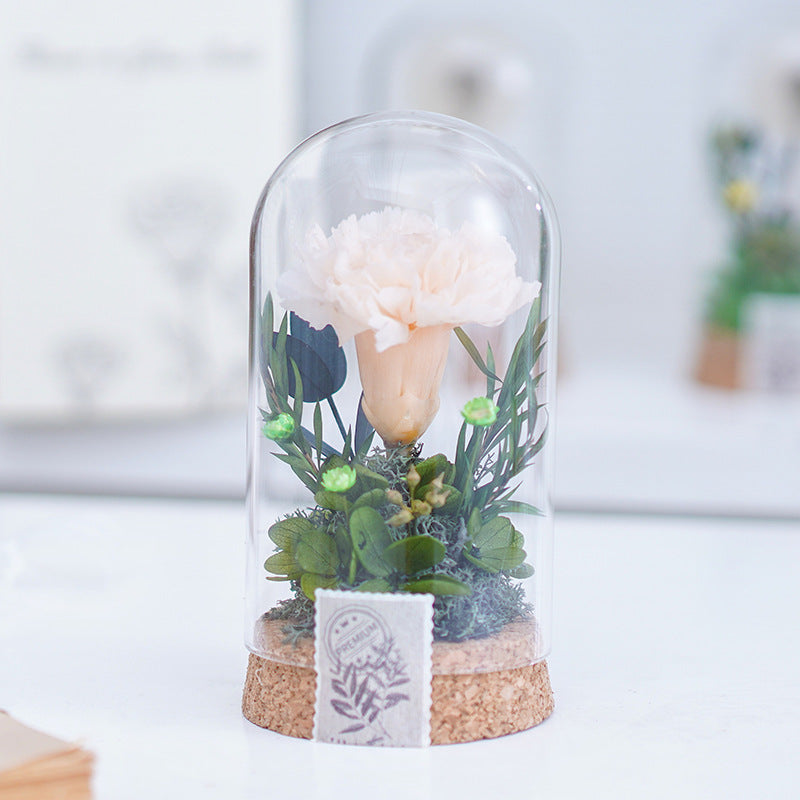 Mother's Day Gift Carnation Wishing Bottle Dandelion Preserved Fresh Flower Material Package