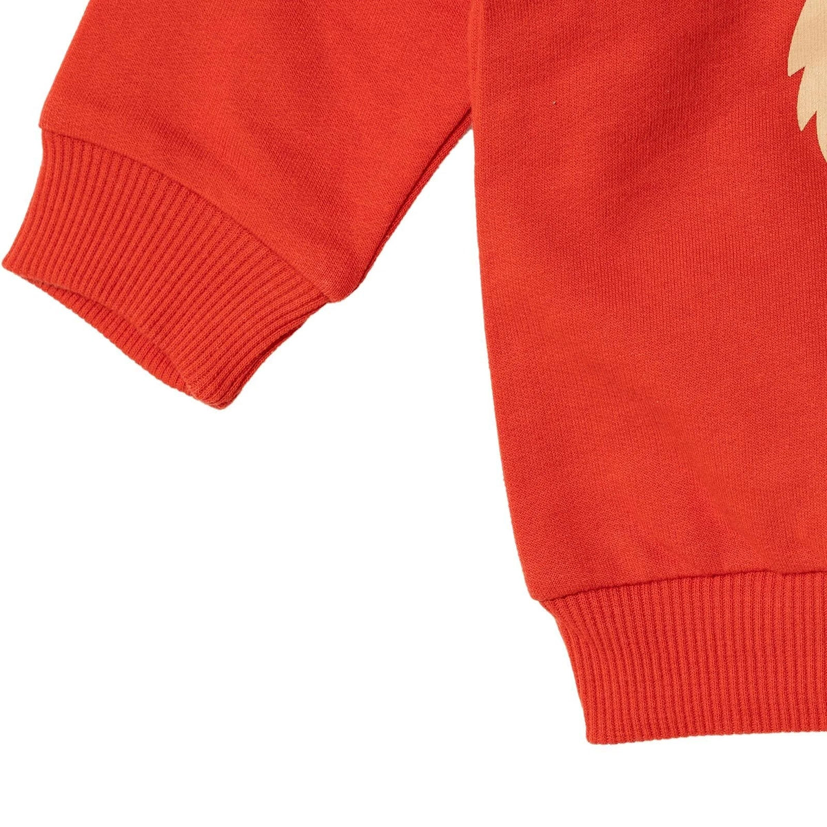 HelloBaby "Easy Tiger" Slogan Brushed Loopback Baby Sweatshirt (6 Months to 5 Years)