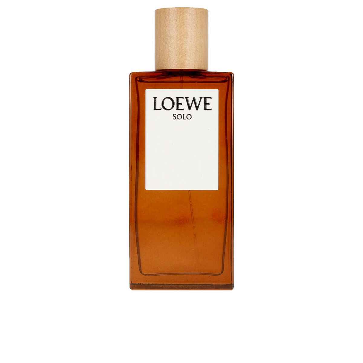 Men's Perfume Loewe Solo EDT 100 ml