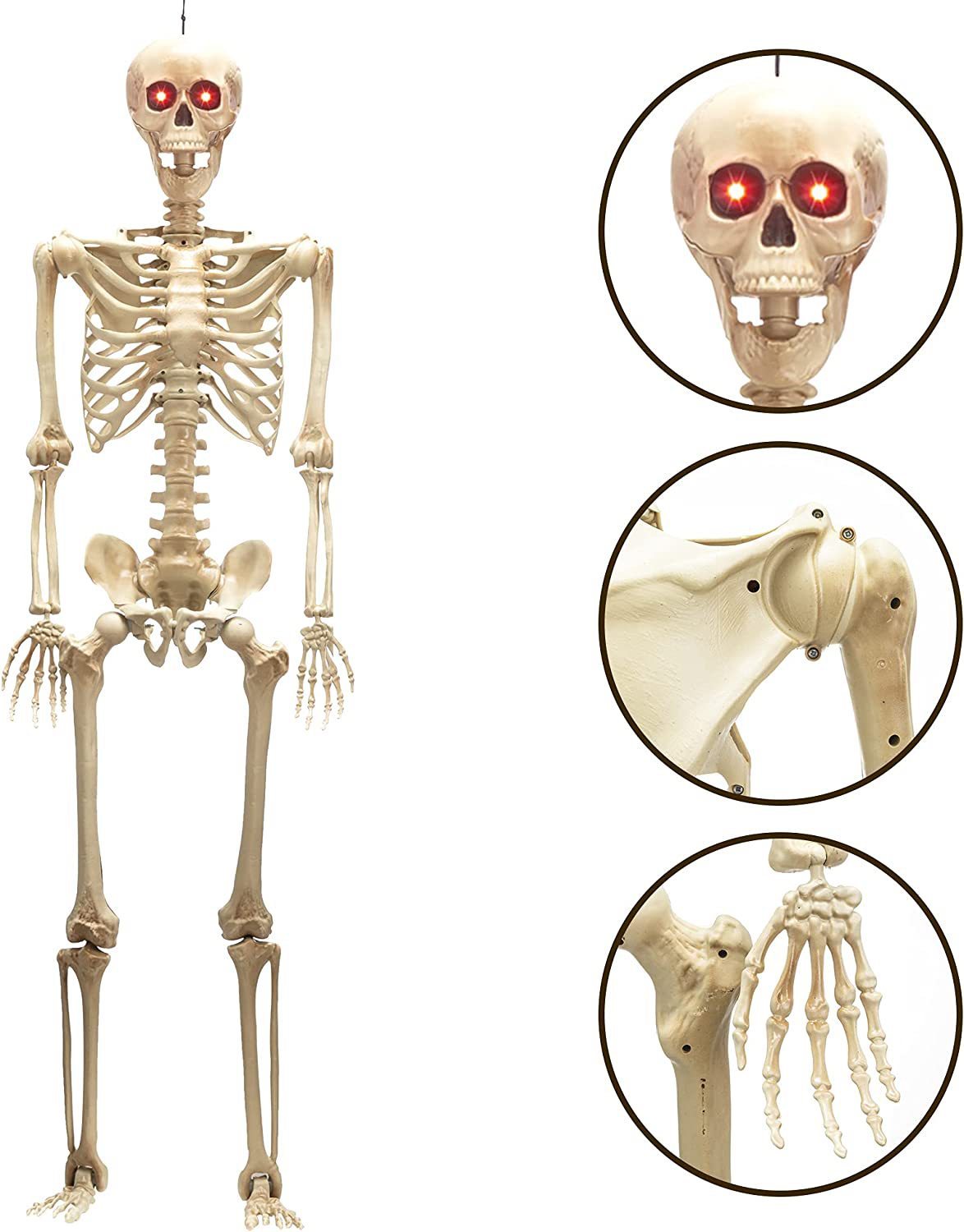 Halloween Skull Fish Skeleton Hanger 80cm - Realistic Spooky Decoration