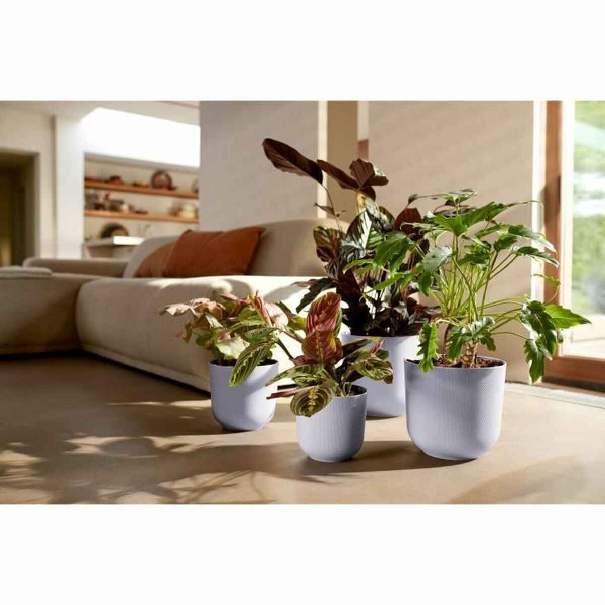 Plant pot Elho