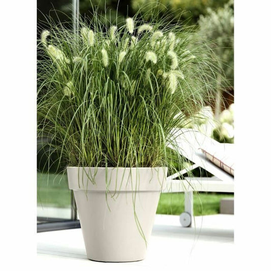 Plant pot Elho