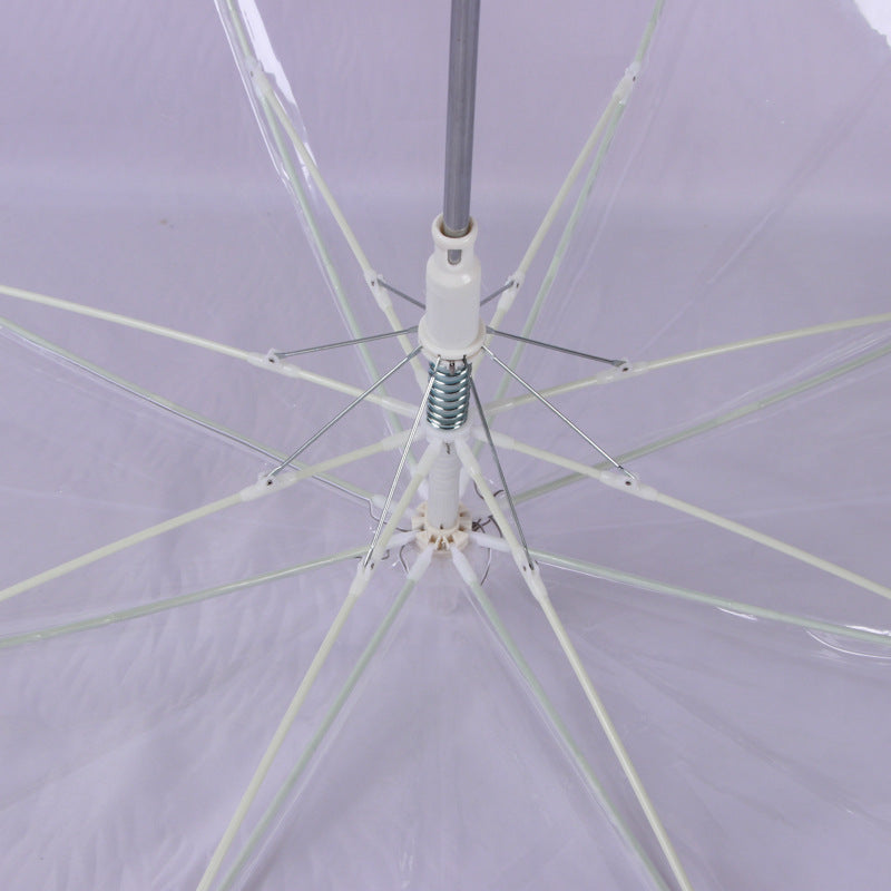 Transparent & Luminous Umbrella (with Flashlight)
