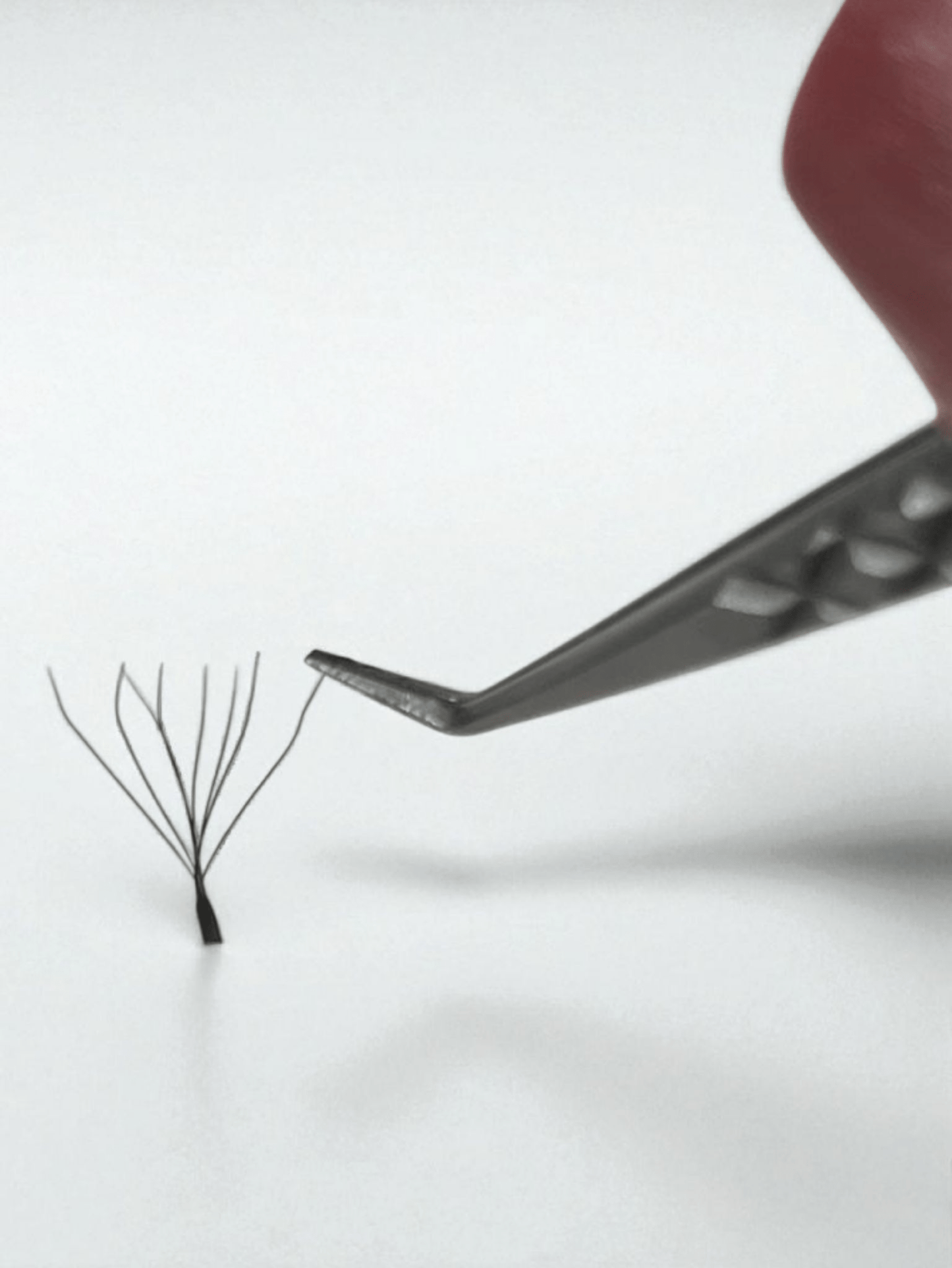 8D Clover Single Length