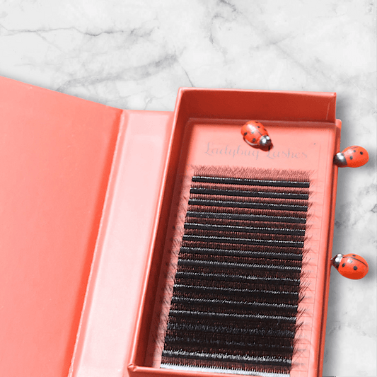 8D Clover Lash Mixed Tray