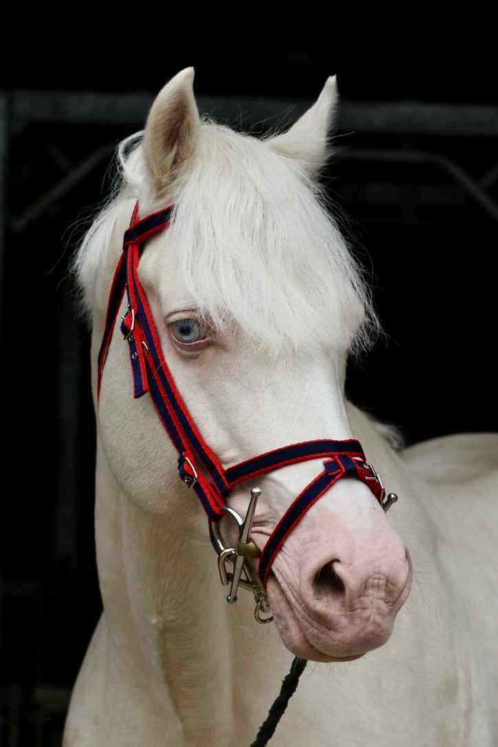 Standard Bridle - Cavesson Noseband