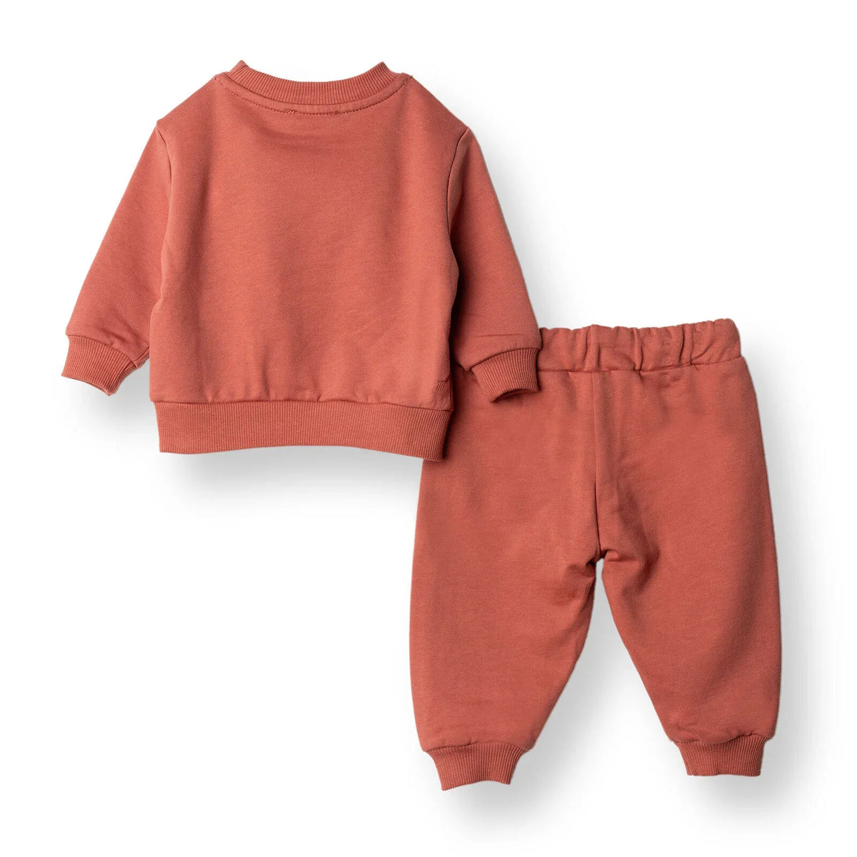 HelloBaby "Little Dino Expert" Slogan Brushed Baby Sweatshirt & Joggers Set (3-6 Months to 4-5 Years)