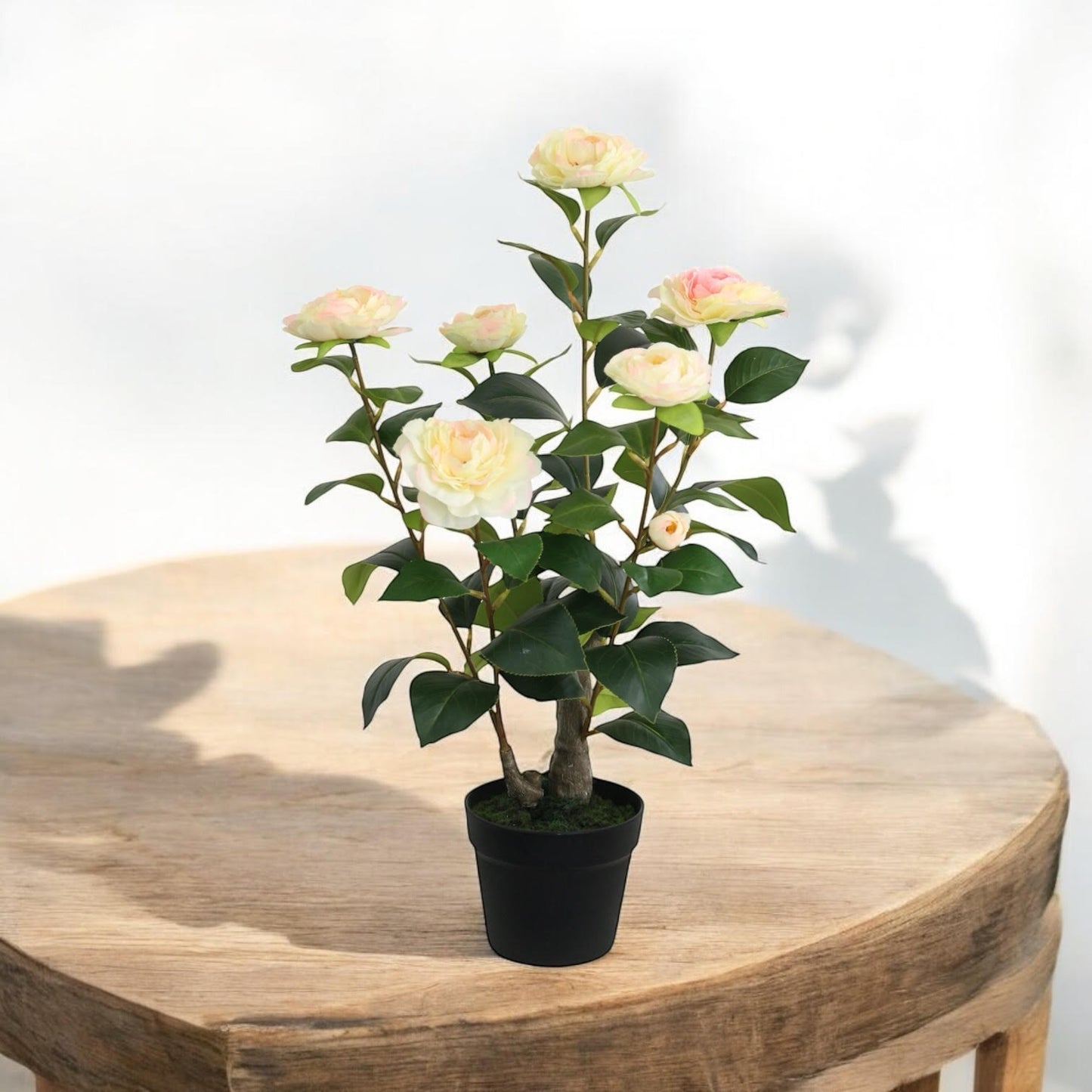 58CM ARTIFICIAL CAMELLIA PLANT
