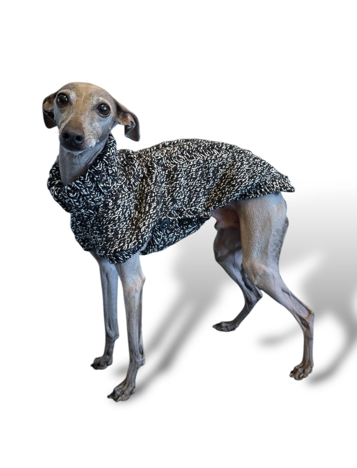 Knitted Coat - Button Up - Monochrome