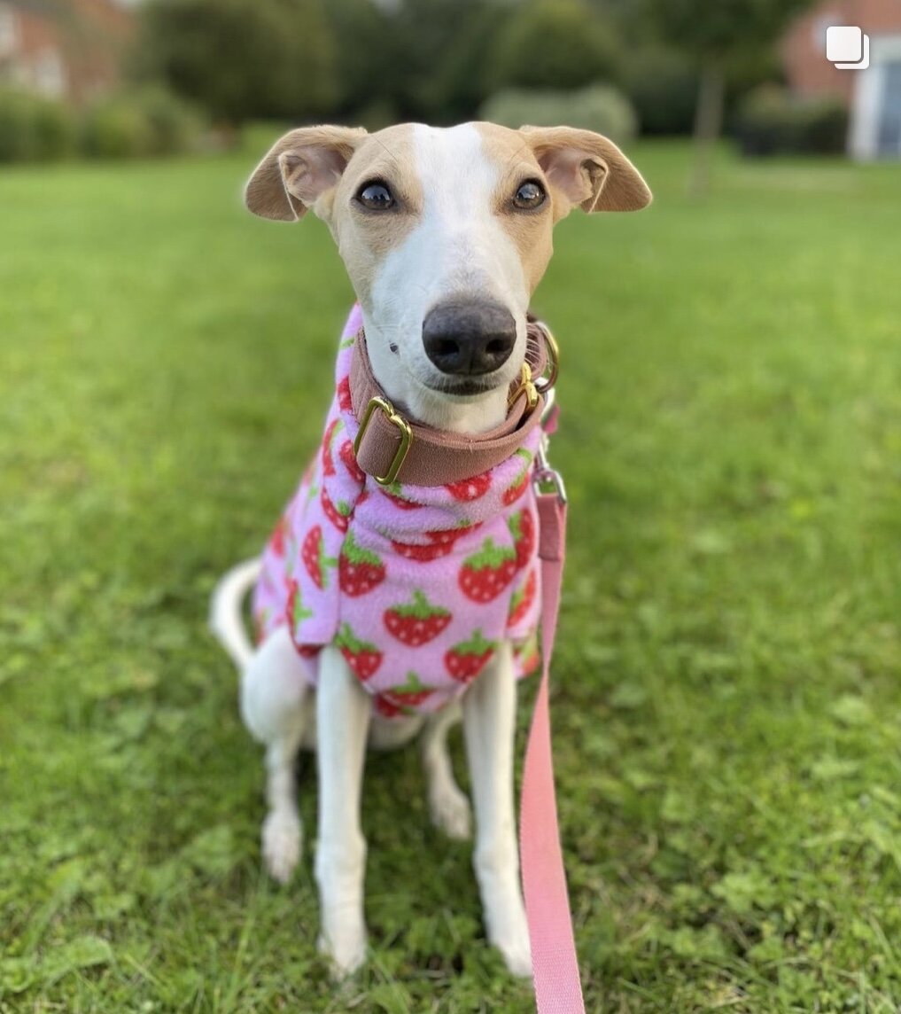 Fleece Vest - Baby Pink