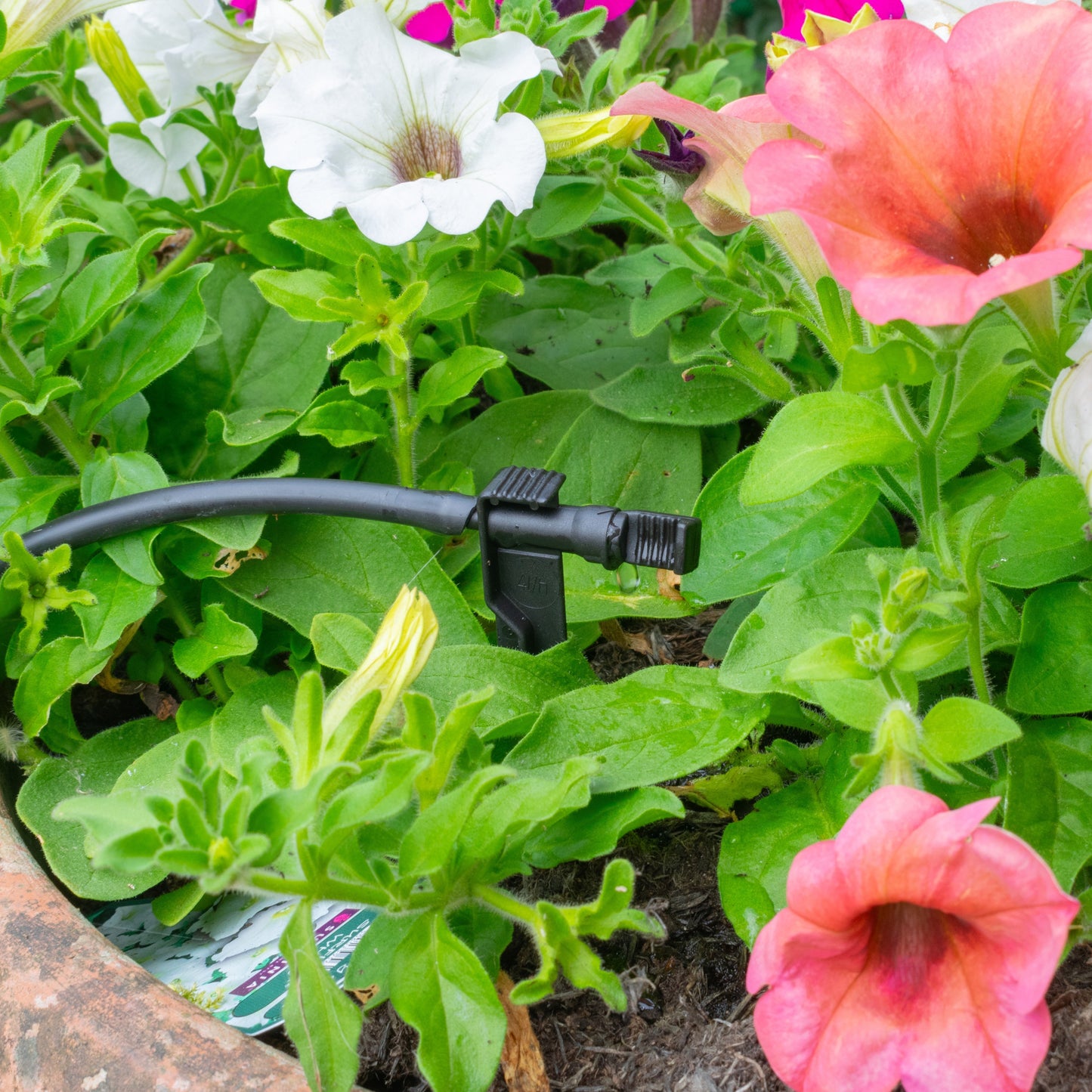 Antelco Midi Drip Dripper Emitters On Spike Barb Connector Micro Watering System