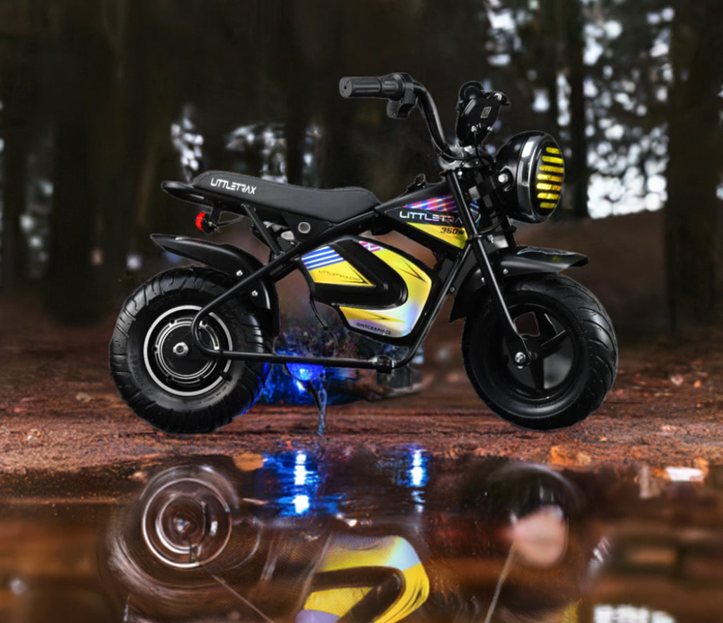 Best Selling 350w 36v Kids Electric Bike – Ages 3 to 12+ ride on dirt bike