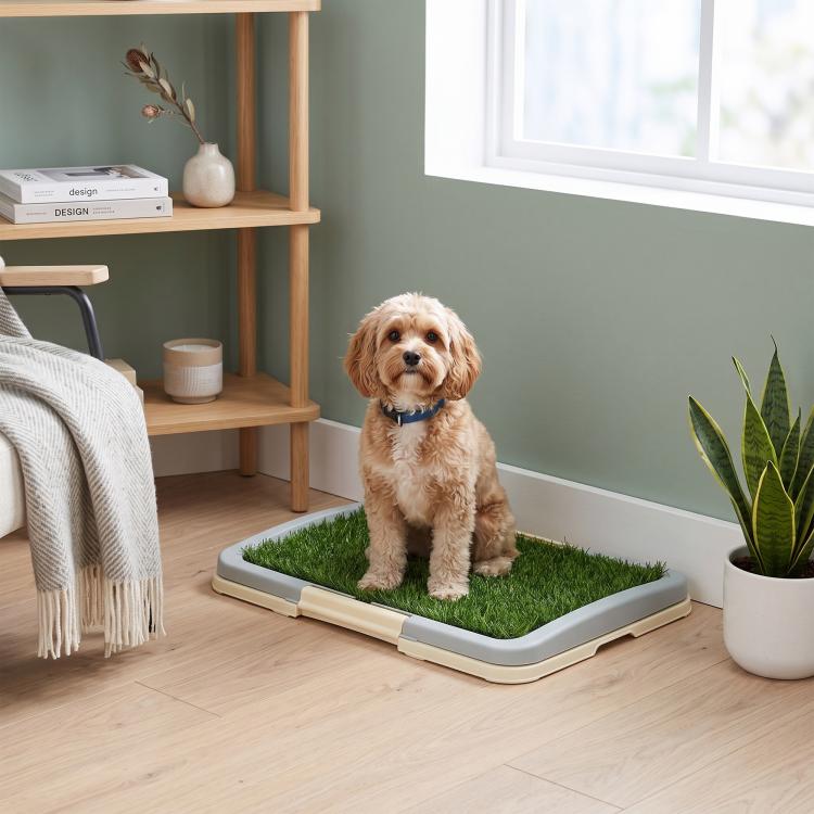 Puppy Training Pad, Indoor Portable Puppy Pad, with Artificial Grass, Grid, Panel, Tray, 46.5 x 34cm