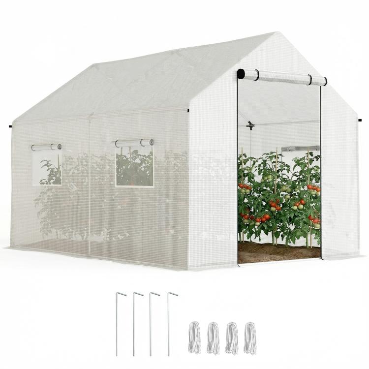 Polyethylene Walk-in Polytunnel Greenhouse, 2 x 3(m), White