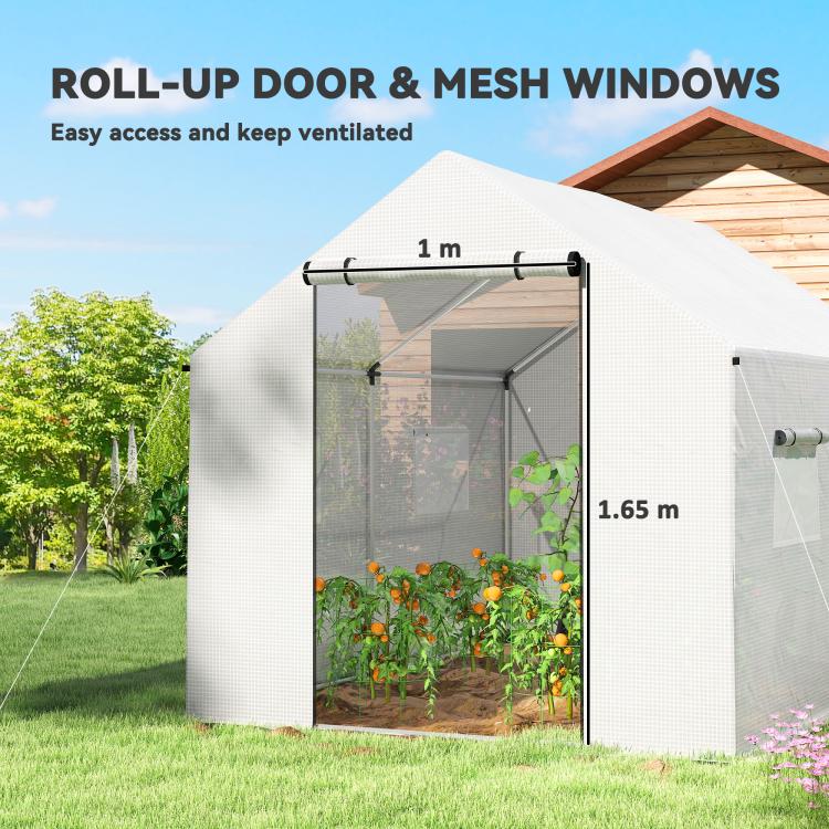 Polyethylene Walk-in Polytunnel Greenhouse, 2 x 3(m), White