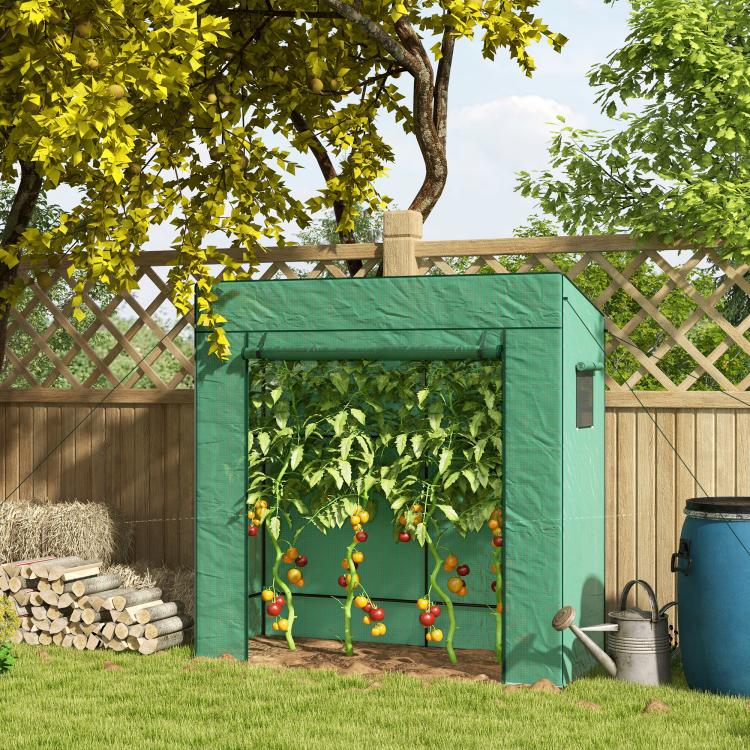77 x 196cm Walk-In Greenhouse, with Accessories