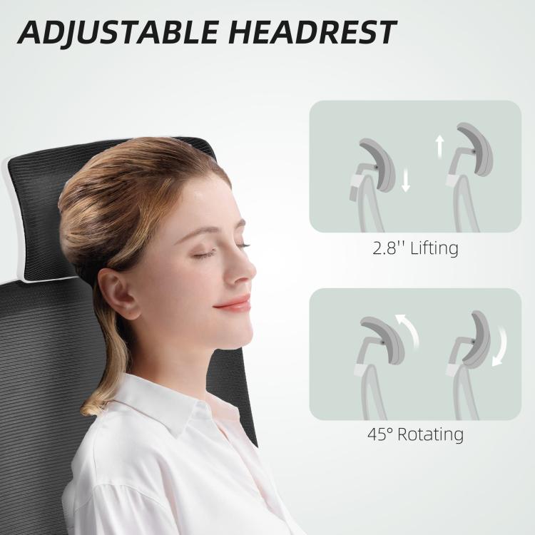 Multi-Adjust Office Chair - Black