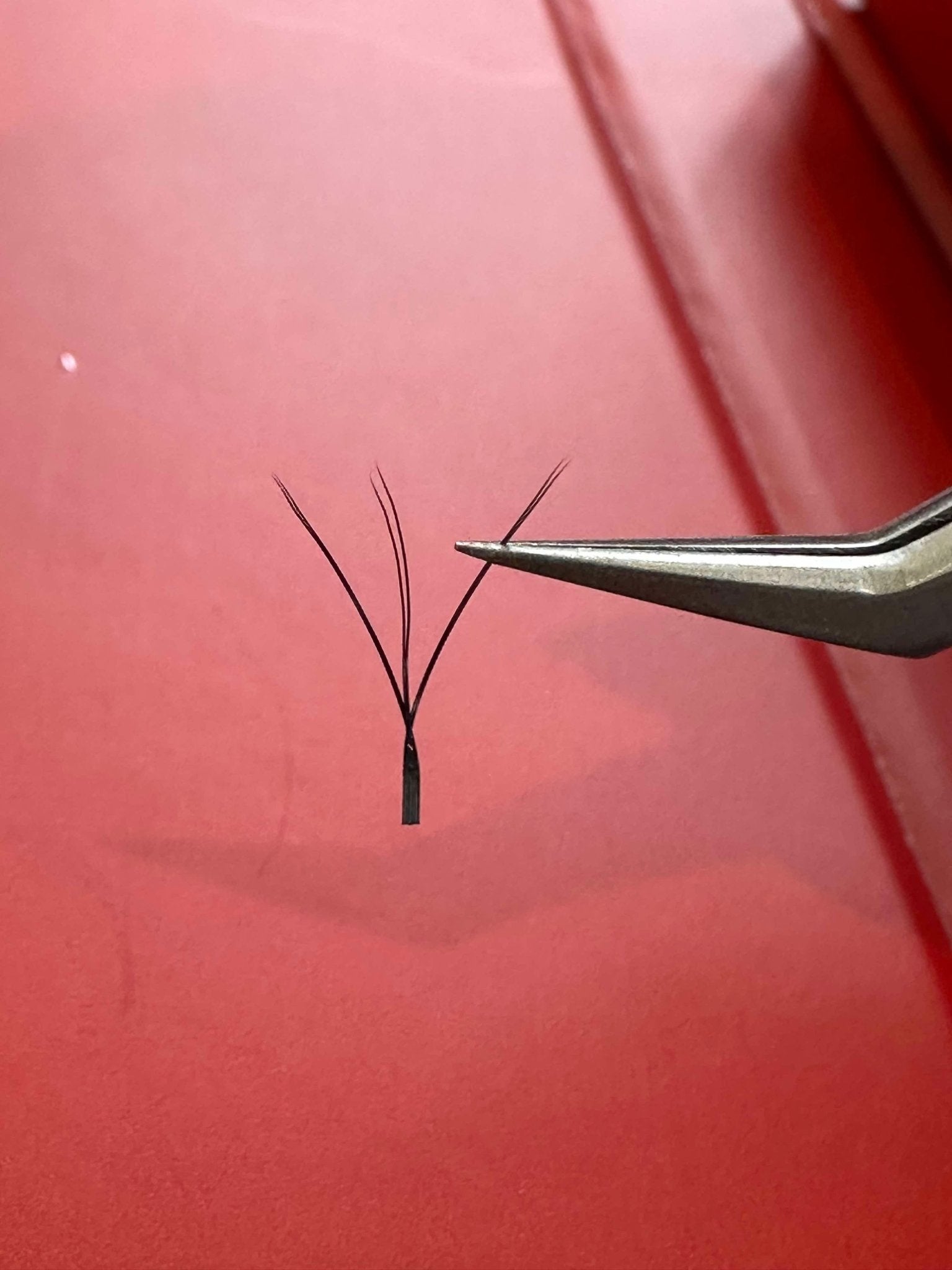 Brown W Lash Single Length