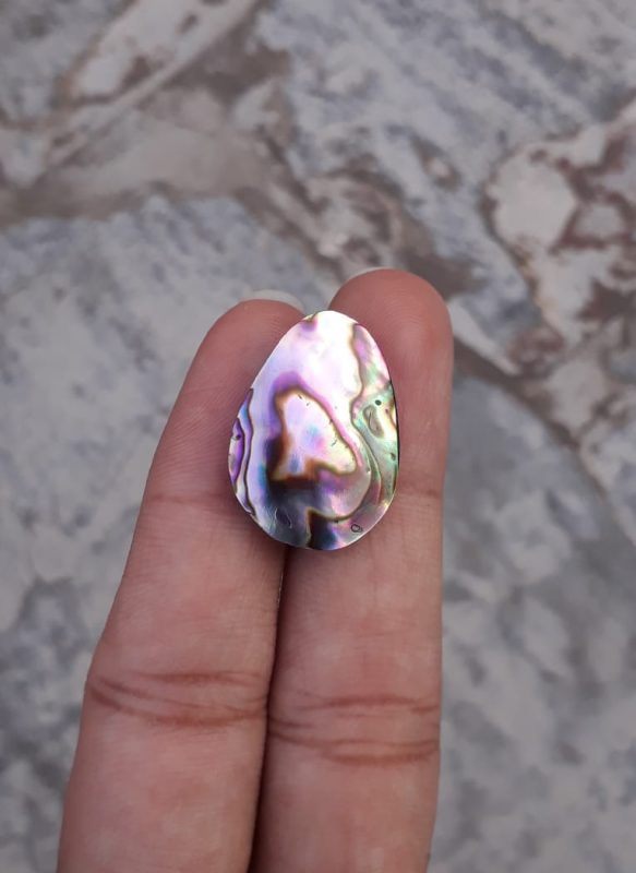 13ct Abalone Shell - Haliotis Iris, Paua Shells, Nacre, Mother-of-Pearl, Aulon, Sea ear -24x17mm