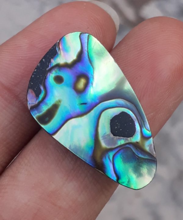16ct Abalone Shell - Haliotis Iris, Paua Shells, Nacre, Mother-of-Pearl, Aulon, Sea ear -27x17mm